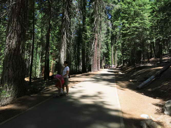USA_2013-07-07 11-28-40_IMG_1116